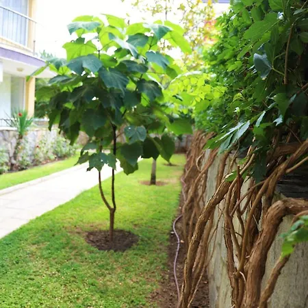 Jasmine - Menada Apartment Sunny Beach